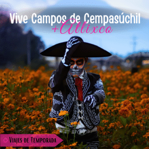 Vive Campos de Cempasúchil + Valle de las Catrinas
