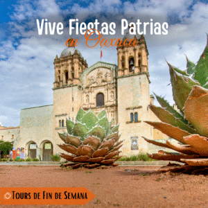 Vive Fiestas Patrias en Oaxaca