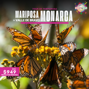 Vive Mariposa Monarca + Valle de Bravo